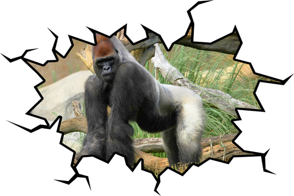 VWAQ Silverback Gorilla Wall Decal Jungle Room Decor - PAS36